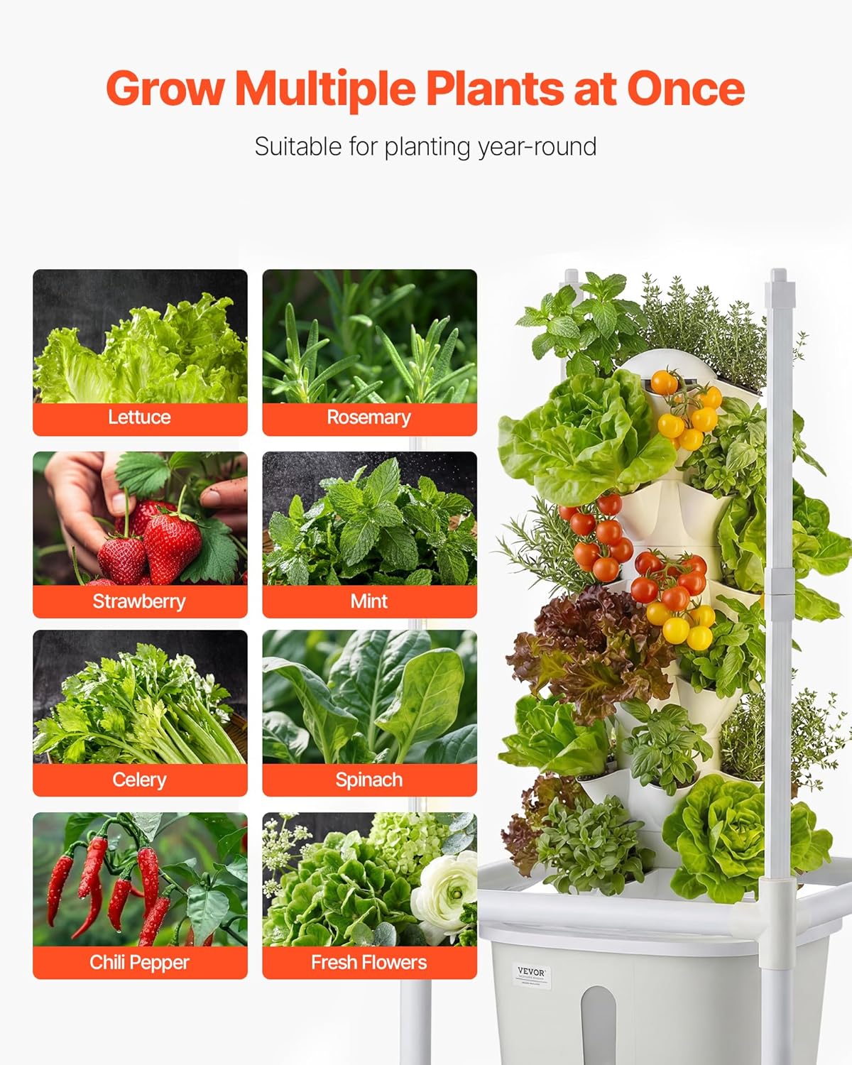 🥬 Hydroponic Growing System – Vertical Garden for Fresh Herbs & Vegetables at Home 🌱✨